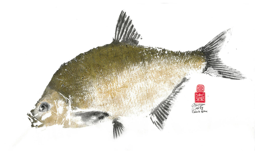 Gyotaku de poissons de rivière et fleuve