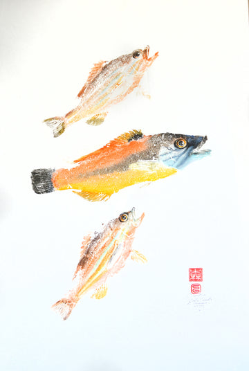 Gyoaku de vieilles , giotaku, fishprint, art japonais, estampes 