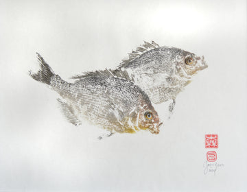 Gyoaku de dorades grises , giotaku, fishprint, art japonais, estampes 