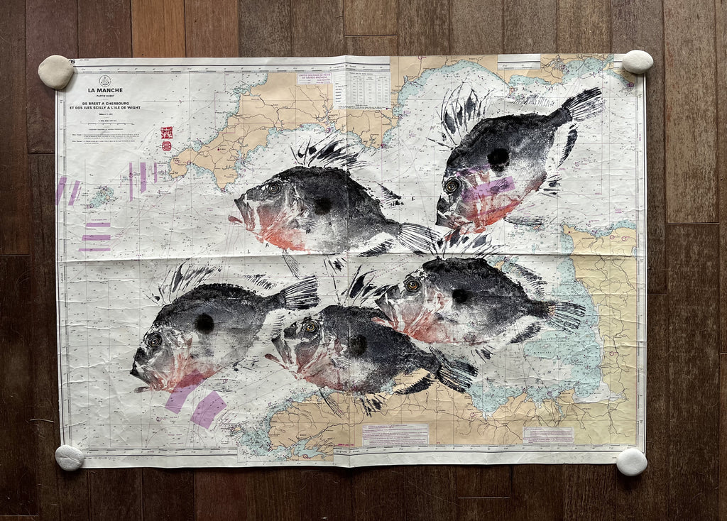 Gyoaku sur carte marine saint-pierre dory, empreinte, giotaku, fishprint, art japonais Bretagne