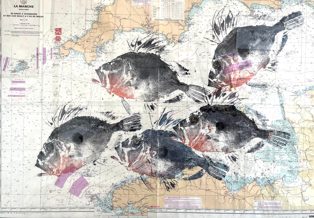 Gyoaku sur carte marine saint-pierre dory, empreinte, giotaku, fishprint, art japonais Bretagne