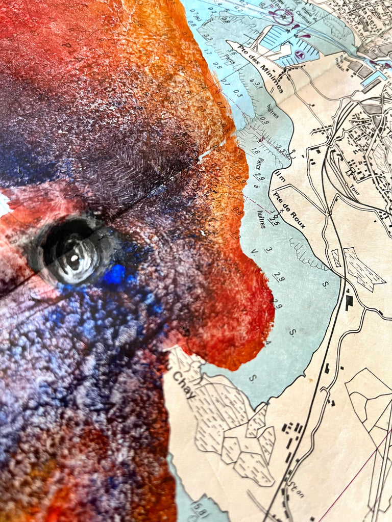 Gyotaku couleurs de poulpe, gorgones et bogues sur carte marine originale de l'île d'Oléron - Gyotaku-Darkoï