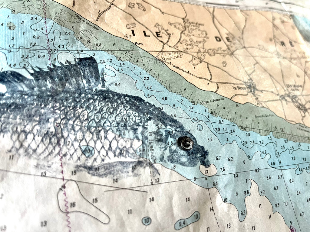 Gyotaku couleurs de poulpe, gorgones et bogues sur carte marine originale de l'île d'Oléron - Gyotaku-Darkoï