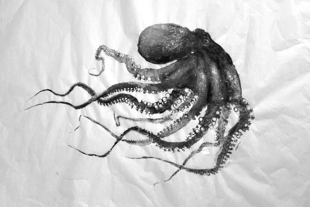 Gyotaku, empreinte de poulpe ou pieuvre ou octopus, noir, réalisé à l'encre de seiche sur un papier blanc japonais