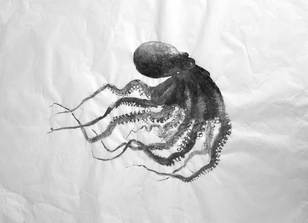 Gyotaku, empreinte de poulpe ou pieuvre ou octopus, noir, réalisé à l'encre de seiche sur un papier blanc japonais