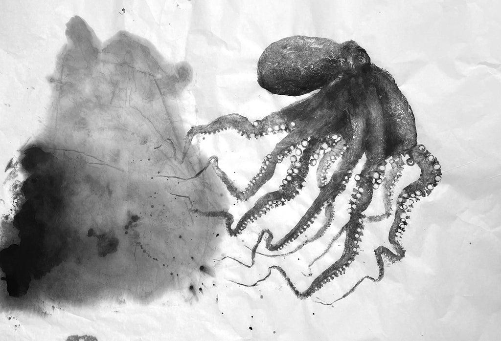 Gyotaku, empreinte de poulpe ou pieuvre ou octopus, noir, réalisé à l'encre de seiche sur un papier blanc japonais. tache d'encre noir, sumi