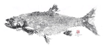 Gyoaku Aspe loire fishprint, art japonais, estampes 