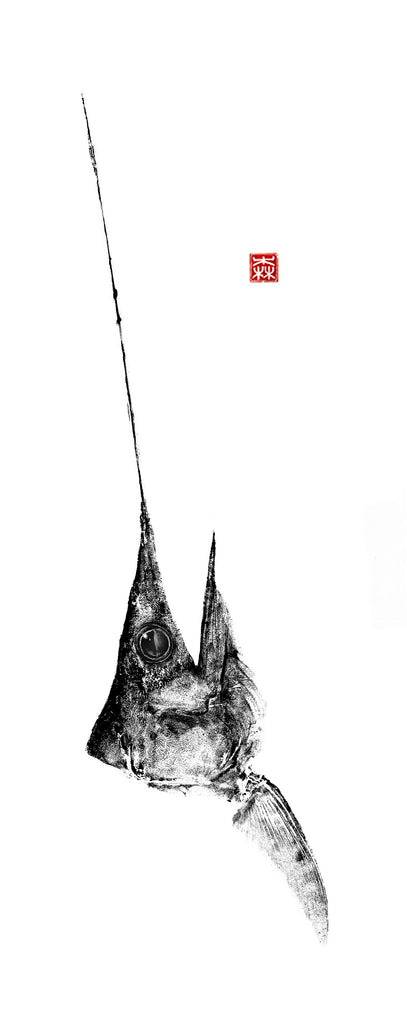 Poster, reproduction de gyotaku, empreinte encre de chine d'espadon