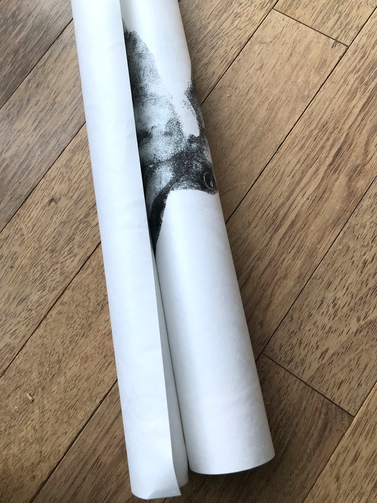 Poster, reproduction de gyotaku, empreinte encre de chine de poulpe