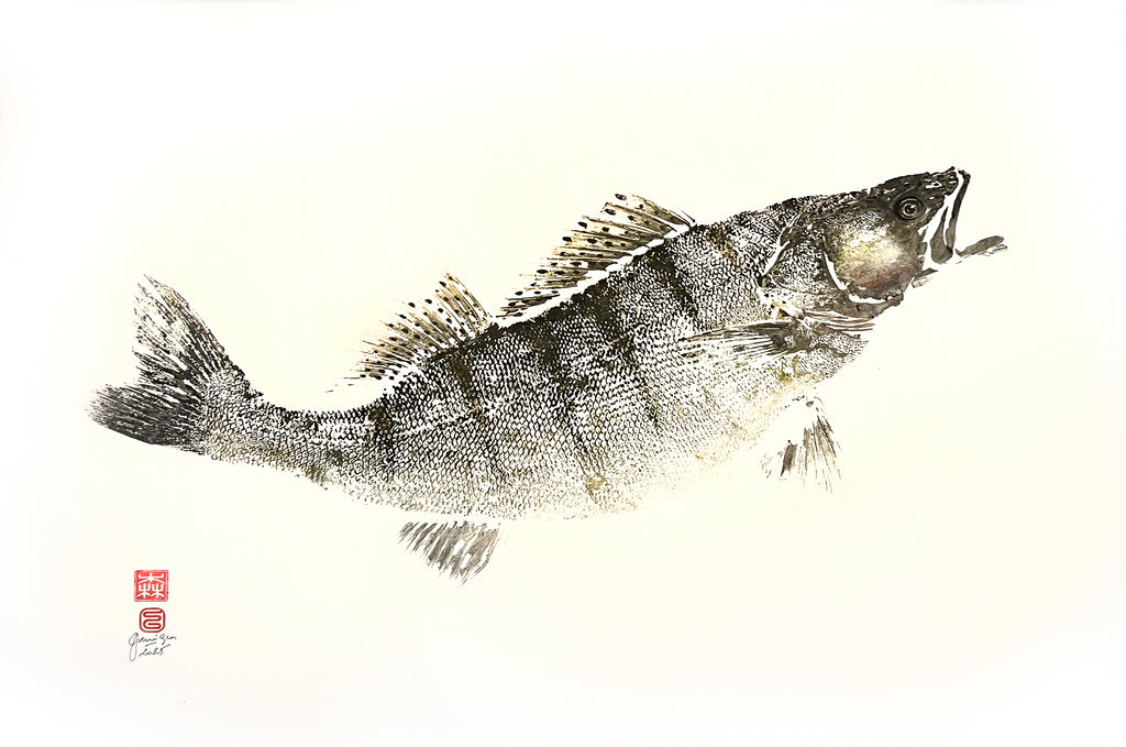 Gyotaku, empreinte de sandre de Loire, réalisé avec des encres couleurs sur papier japonais