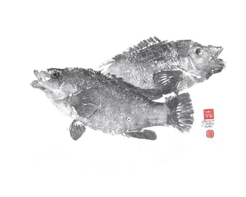 Gyoaku de vieilles   giotaku, fishprint, art japonais, estampes 